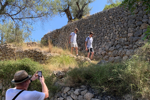 Fornalutx town and hiking to the mountains olive farm