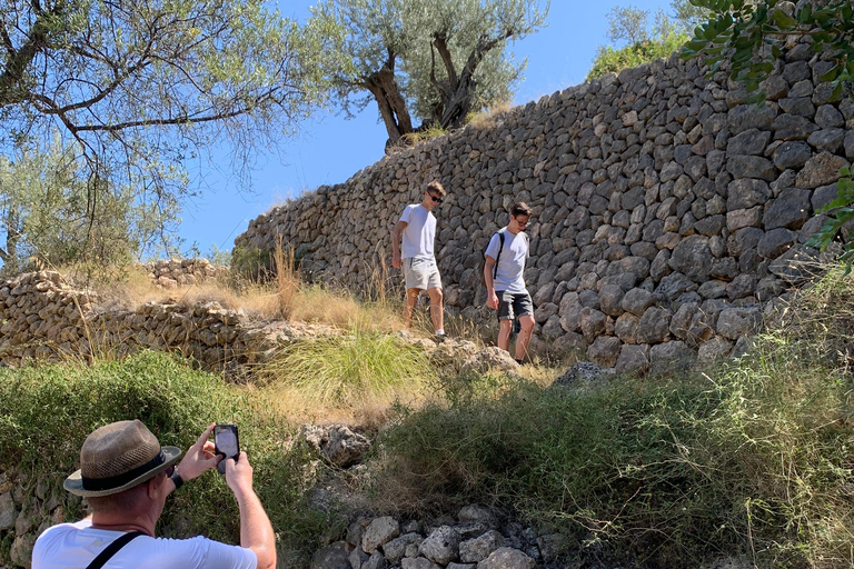 Fornalutx pueblo y senderismo a las montañas granja de olivos