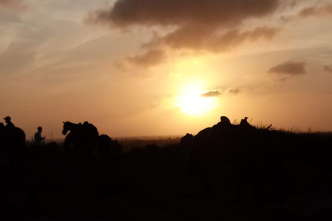 Passeio ao pôr do sol em Aruba