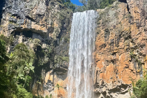 布里斯班：斯普林布鲁克七瀑布与天然桥之旅布里斯班：斯普林布鲁克七瀑布与天然石桥游览