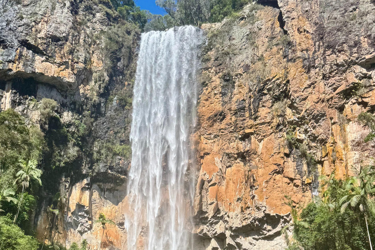 布里斯班：斯普林布鲁克七瀑布与天然桥之旅布里斯班：斯普林布鲁克七瀑布与天然石桥游览