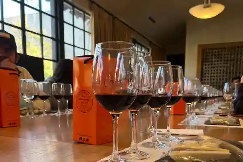 Concha y Toro | City tour Santiago & Concha y Toro Wine tour