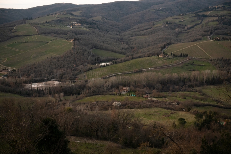 De Florence: visite des vignobles du Chianti avec dégustationVisite privée