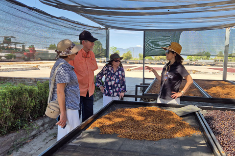 Coffee Experience: Processing, Tasting, and Visit to Alquimia Café Café Tour + Tasting Experience + Boquerón Park