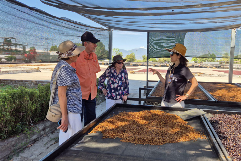 Coffee Experience: Processing, Tasting, and Visit to Alquimia Café Café Tour + Tasting Experience + Boquerón Park