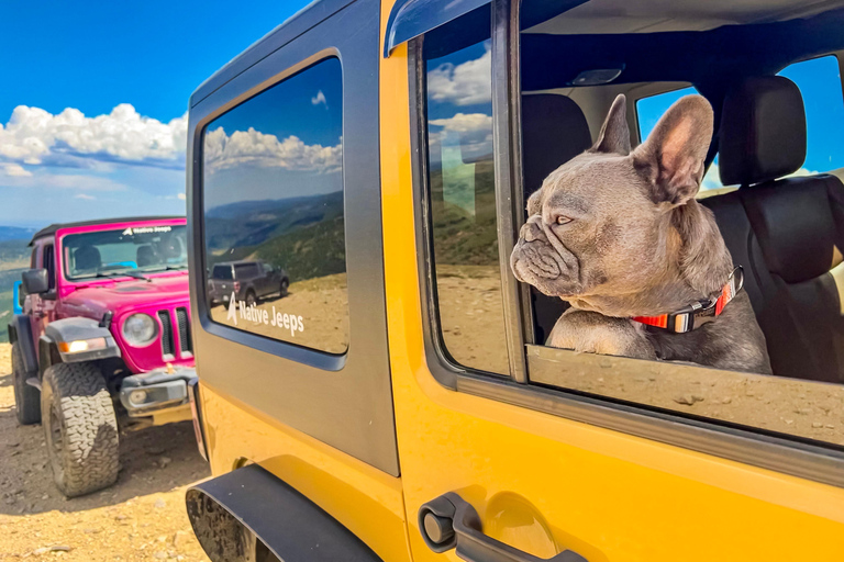 Denver/Black Hawk: You-Drive Jeep Tour in the Backcountry