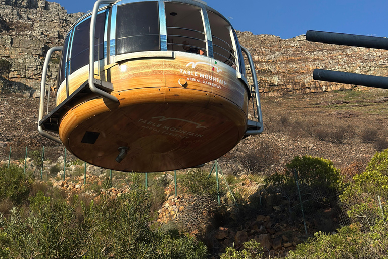 Cape Town: Table Mountain Cableway & City Tour with Pickup