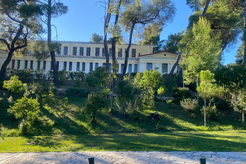 Ancient Olympia: Agrotourism tour, honey, wine, and oil tasting.