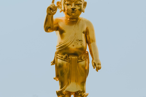 9-Day Buddha Enlightenment Tour of Sacred Sites Private Tour with A/C transport and Dedicated Driver.