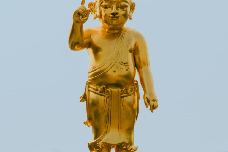 9-Day Buddha Enlightenment Tour of Sacred Sites Private Tour with A/C transport and Dedicated Driver.