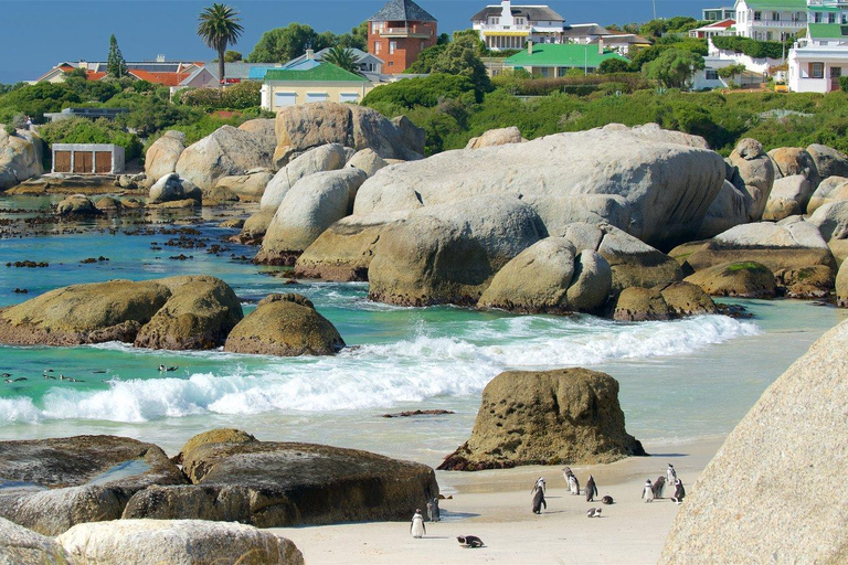 Ciudad del Cabo: Tour de un día por el Cabo de Buena Esperanza y los Pingüinos