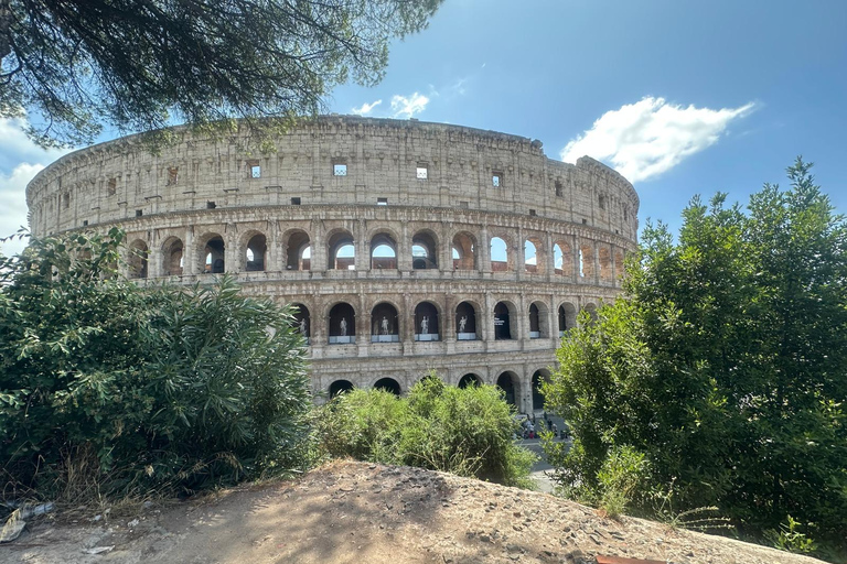 Small Group Guided Tour Colosseum Roman Forum, Palatine Hill Standard Tickets