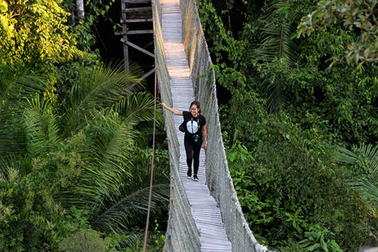 Puerto Maldonado - Aventure dans la jungle