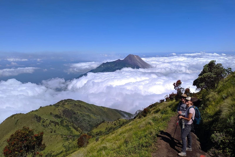 From Yogyakarta: Mount Merbabu One Day Hiking Tour