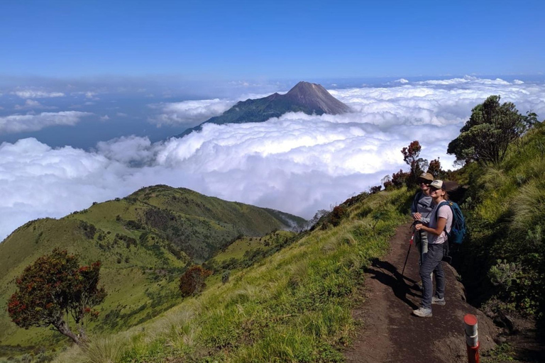 Von Yogyakarta aus: Berg Merbabu Ein-Tages-Wandertour