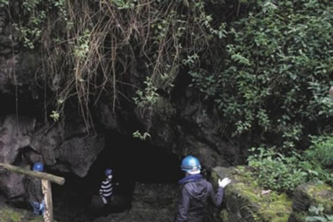 4 dias de passeio de gorila no Ruanda, safari no Lago Kivu e nas grutas.