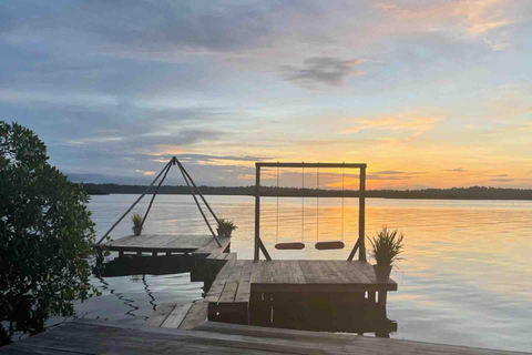 Bocas del Toro: tour in barca di Monkey Island e Cayo Coral