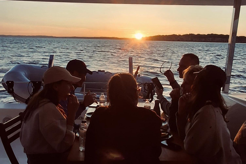 Luxury Catamaran Cruise Along Algarve Coast Half-day Luxury Catamaran Experience - Portimão