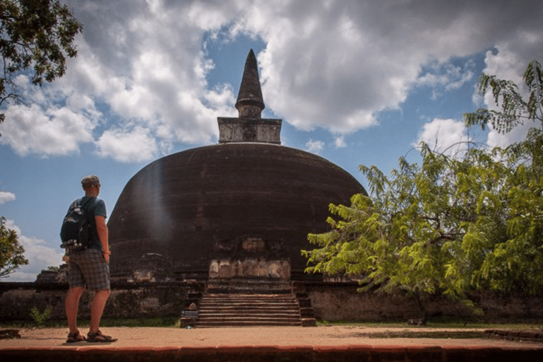 Dambulla: Sigiriya, Polonnaruwa, and Cave Temple Day Trip