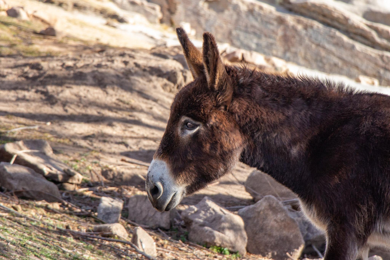 Córdoba: La Lomita Mountain Refuge Gedeelde ervaringWaar vreemden een stam worden - 7 dagen belevenis - Argentinië