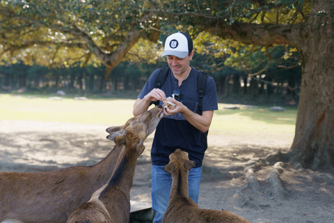 Nara: Must-see attractions tour with English-Speaking Guide