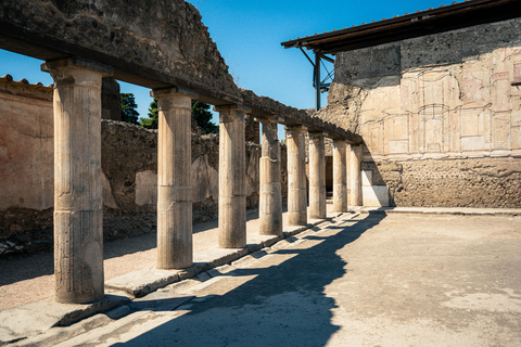 Au départ de Rome : Pompéi avec un archéologue + déjeuner à SorrenteVisite guidée de Pompéi avec déjeuner pizza à Sorrente