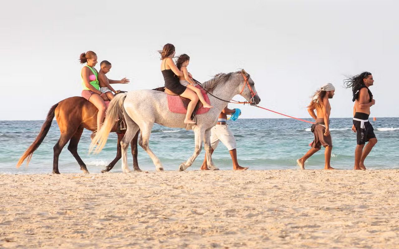 Mahdia: Reitabenteuer am Strand mit Hotelabholung