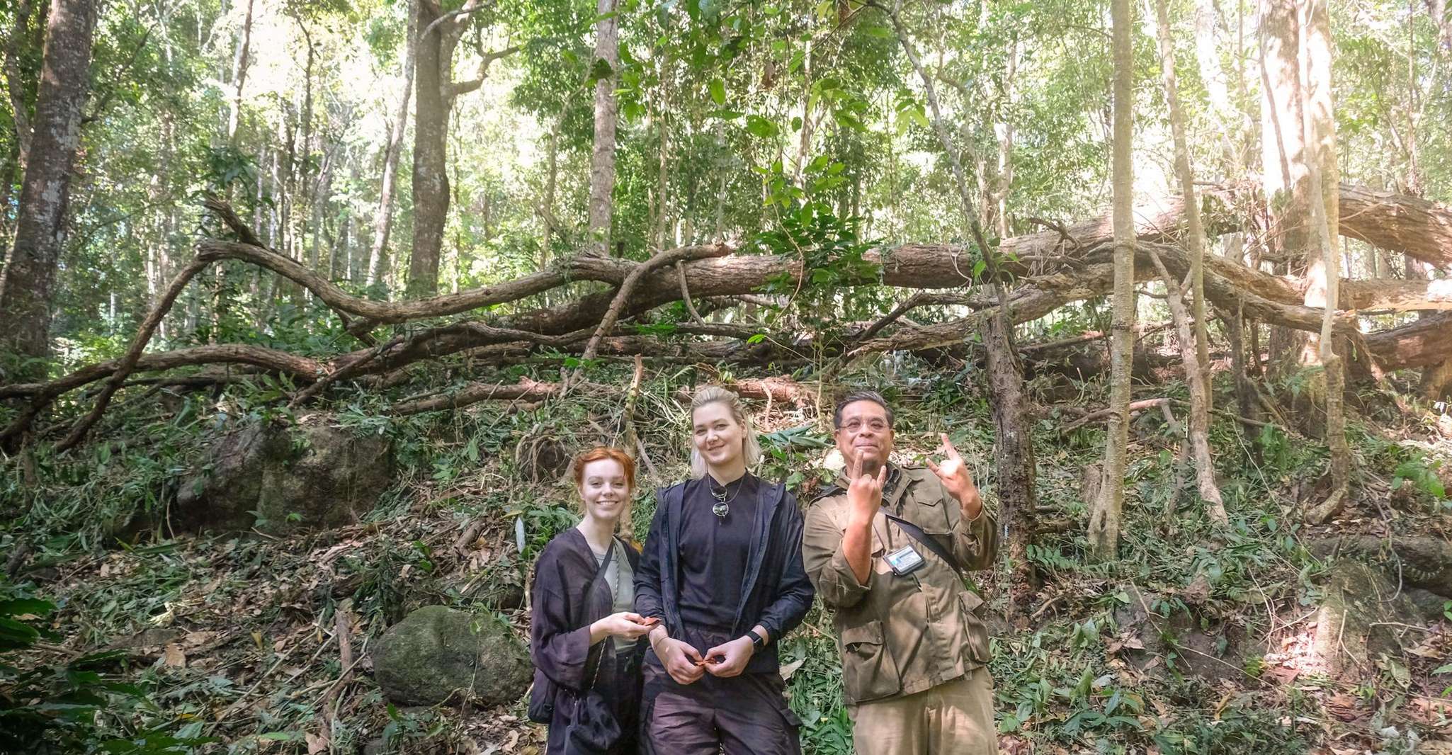 Chiang Mai Coffee Farm , 4WD, Treks, DIY Braten & Brauen. - Hizvo