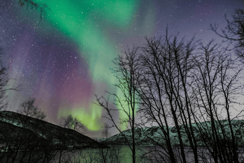 Tromsø: Small-Group Aurora Tour with Free Photos (8 Hours)