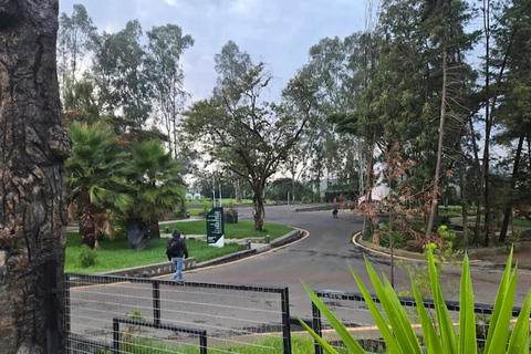 Addis Ababa: Bora Park & Bulbula Guided Tour with Pickup