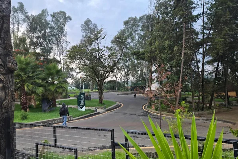 Addis Ababa: Bora Park & Bulbula Guided Tour with Pickup