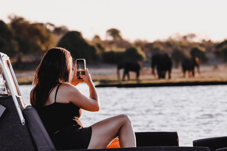 Chobe River Private 3 Hour Boat Safari