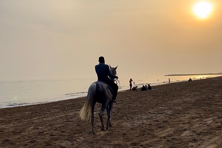 Horse riding on muscat beach