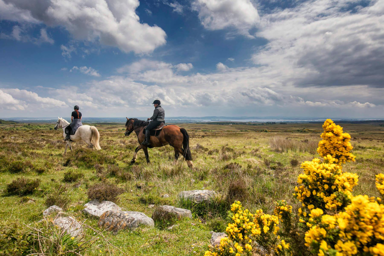 Horse riding the mountain trail. Clare. Guided, 2 hours