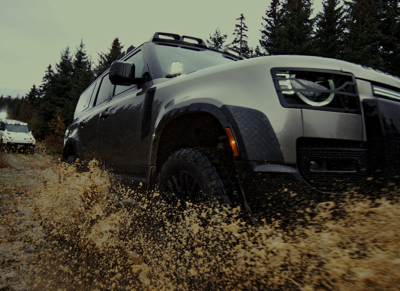 Whistler: Morgen med bjørnene Land Rover naturskøn udflugt