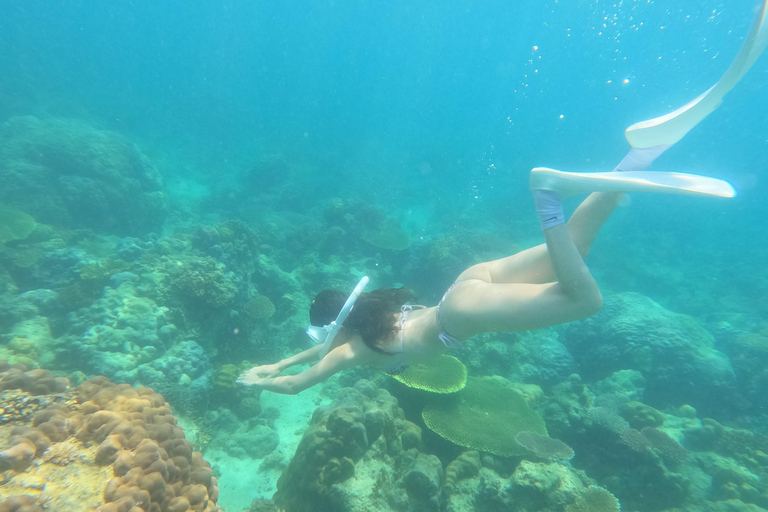 Coron : Observation des dugongs avec visite des tortues de mer et des jardins de corail