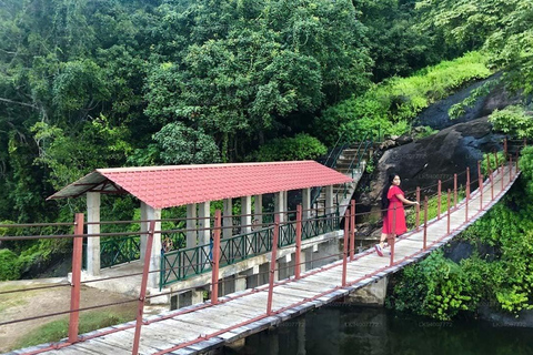 3-Day Mahiyanganaya Wildlife, Waterfalls, Culture, Yala Drop