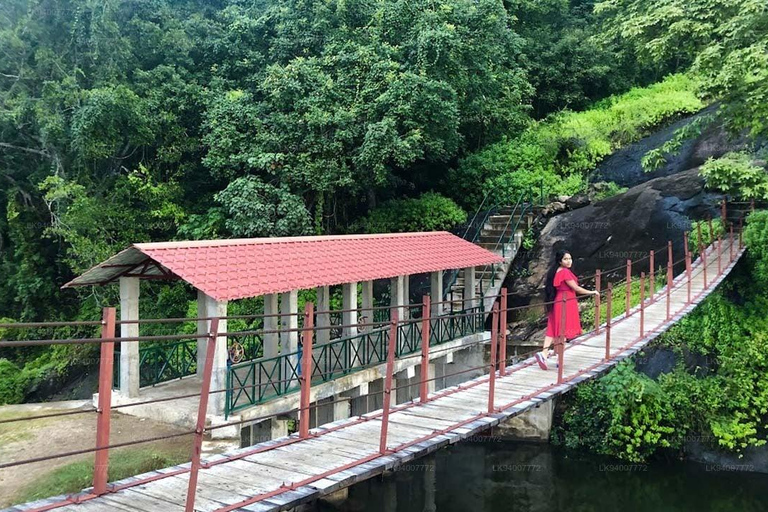 3-Day Mahiyanganaya Wildlife, Waterfalls, Culture, Yala Drop