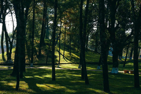 Hue: Excursión de un día a los lugares más destacados con conductor de habla inglesaPuedes elegir visitar 5 destinos