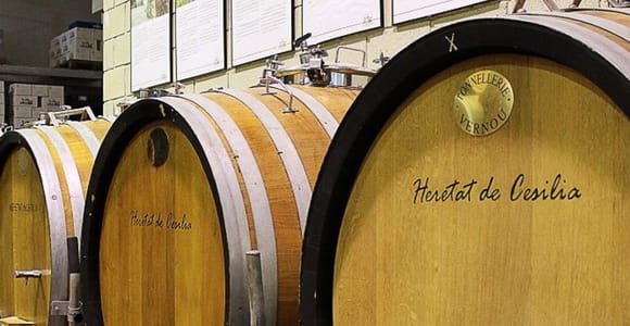 Santa Pola, Gran Alacan, Urbanova: Führung mit Weinverkostung