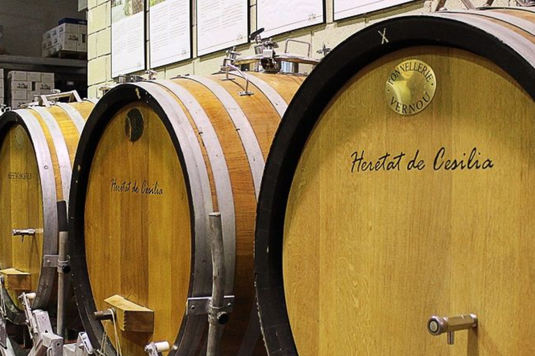 Santa Pola, Gran Alacan, Urbanova: Guided Wine Tasting Tour