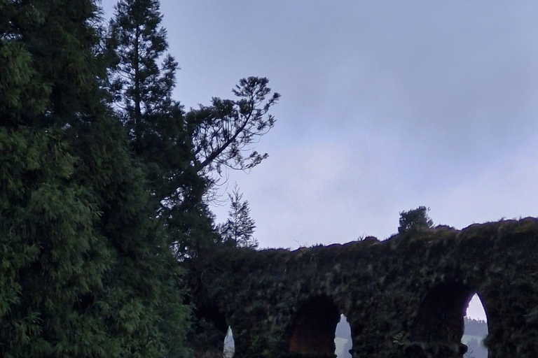 Sete Cidades and Lagoa do Fogo: tour of iconic lagoons and viewpoints