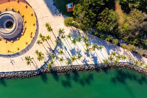 Downtown Miami Tour with Millionaire’s Row Cruise Tickets 3.5-hour: Miami Tour with Cruise Tickets