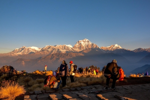 4 Tage Poon Hill Trek von Pokhara