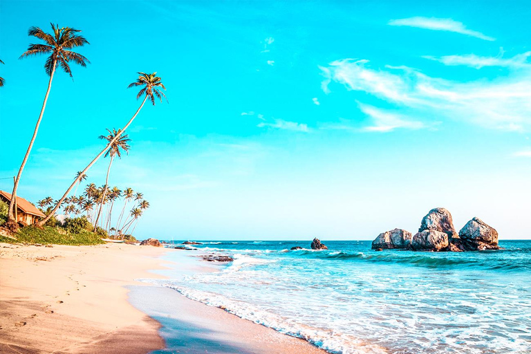 Sri Lanka: 10-Days Beachside Honeymoon TourBeachside Honeymoon