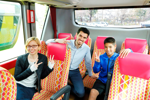 Tokyo : Visite en bus d'une journée avec déjeuner buffet et cérémonie du théDépart de Tokyo