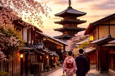 Kyoto: Private Customizable Tour with Local Guide - Image 2