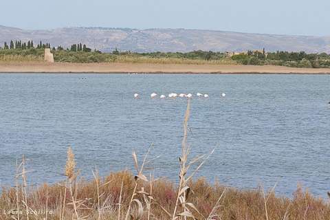 Catania: Vendicari, Marzamemi and Noto Day Trip