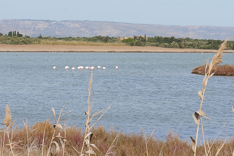 Catania: Vendicari, Marzamemi and Noto Day Trip