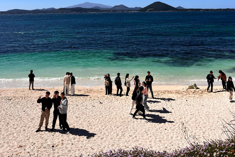 Jeju eiland: Rondleiding met gids die het meest van JEJU houdt